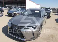 2021 Lexus UX250 photo