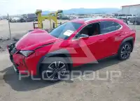 2021 Lexus UX250 photo