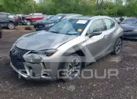 2021 Lexus UX250 фото