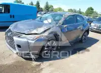 2021 Lexus UX250 photo