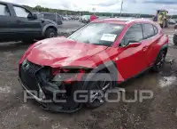2021 Lexus UX250 photo