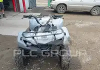 2021 Yamaha YFM фото