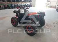 2021 Can-AM RENEGADE фото