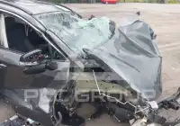 2021 Toyota RAV4 photo