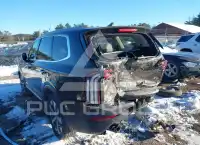 2021 KIA Telluride фото