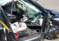 2021 KIA Telluride фото
