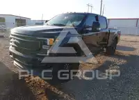 2021 Ford F-250 фото