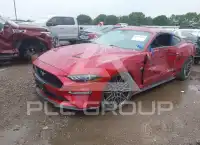 2021 Ford MUSTANG фото