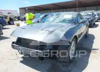 2021 Ford MUSTANG photo