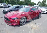 2021 Ford MUSTANG photo