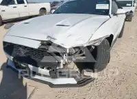 2021 Ford MUSTANG фото