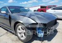 2021 Ford MUSTANG photo