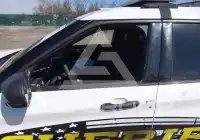 2021 Ford POLICE фото