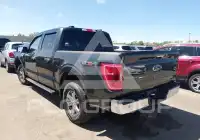 2021 Ford F-150 photo