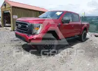 2021 Ford F-150 фото