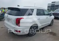 2021 Hyundai Palisade фото