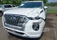 2021 Hyundai Palisade фото