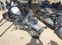 2022 Harley-Davidson XL883 photo