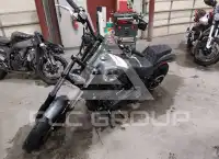 2022 Harley-Davidson FXBBS photo