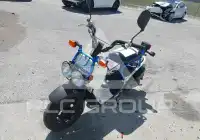 2022 Honda NP фото