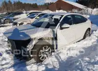 2022 Honda CIVIC photo