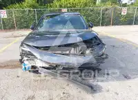 2022 Honda CIVIC photo