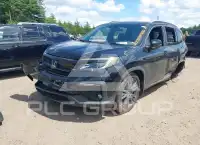 2022 Honda PILOT фото