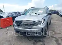 2022 Honda PASSPORT photo