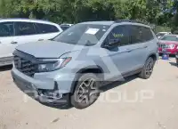 2022 Honda PASSPORT photo