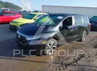 2022 Honda ODYSSEY photo