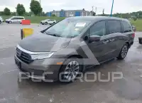 2022 Honda ODYSSEY фото