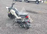2022 Honda NAVI photo