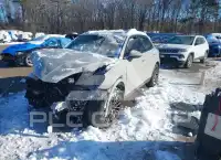 2022 Porsche Cayenne photo