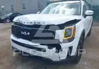 2022 KIA Telluride photo