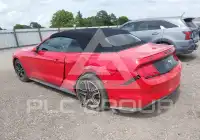 2022 Ford MUSTANG photo