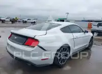 2022 Ford MUSTANG photo
