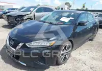 2023 Nissan MAXIMA фото