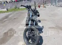 2023 Harley-Davidson  photo