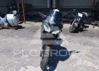 2023 Kawasaki KLE650 фото