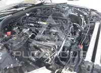 2023 BMW M4 фото