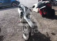 2023 Honda XR photo