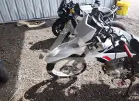 2023 Honda XR photo