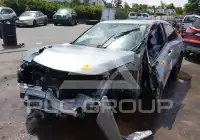 2023 Honda CIVIC photo