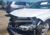 2023 Honda CIVIC photo