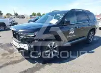 2023 Honda PILOT photo