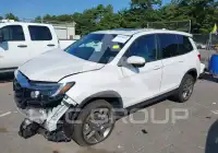 2023 Honda PASSPORT photo