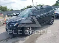 2023 Honda PASSPORT photo