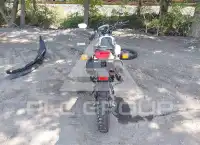 2023 Honda XR photo