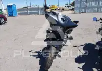 2023 Honda CMX photo