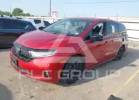 2023 Honda ODYSSEY фото